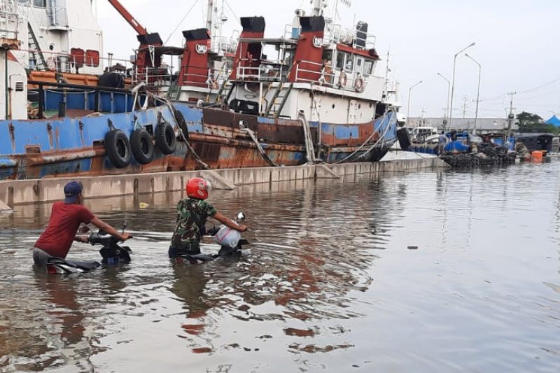Banjir rob 2 meter lebih landa pesisir Kota Semarang