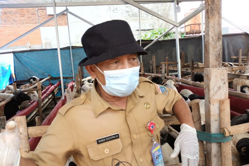 Petugas tingkatkan pemeriksaan hewan kurban di Pasar Rebo