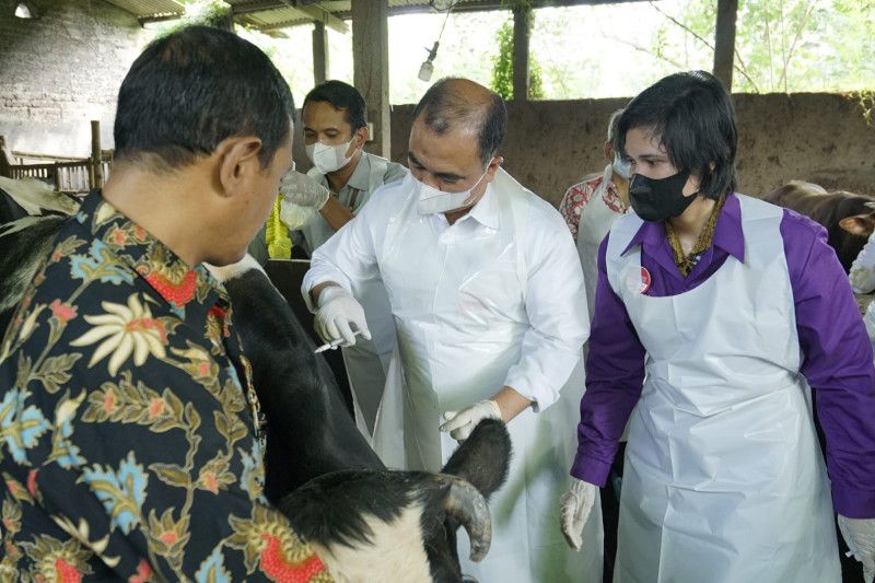 Vaksinasi PMK secara nasional dimulai dari Jawa Timur