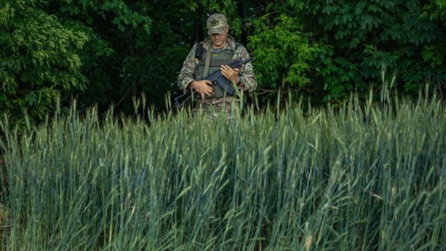 Ke mana Rusia membawa hasil rampasan gandum dari para petani Ukraina? 